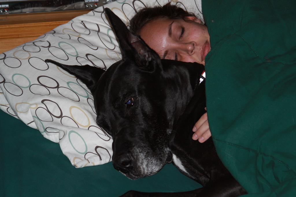 Gunter and Ashley sharing the bed