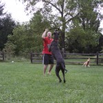 Playing catch with Dad