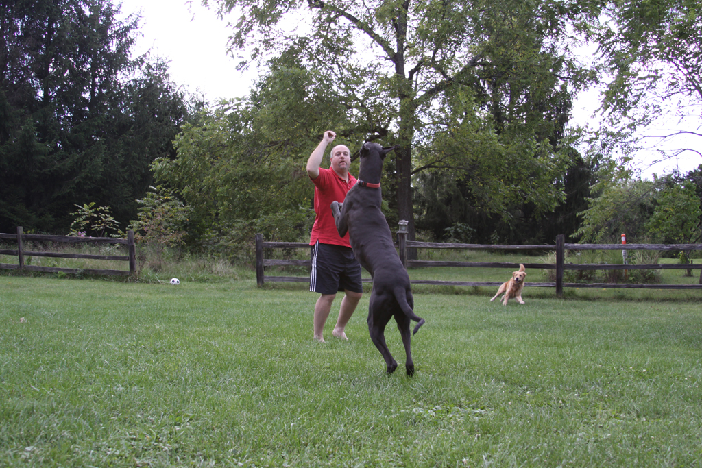 Playing catch with Dad