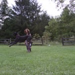 He loves to bounce around when he is having fun.