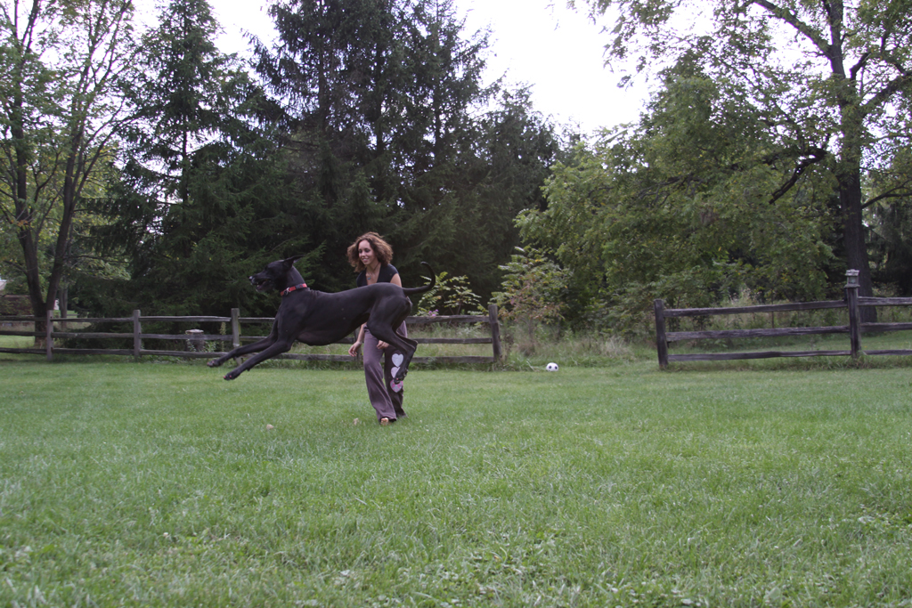 He loves to bounce around when he is having fun.