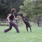 Ashley and Gunter Playing