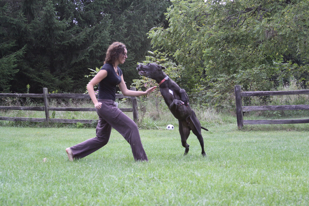 Ashley and Gunter Playing