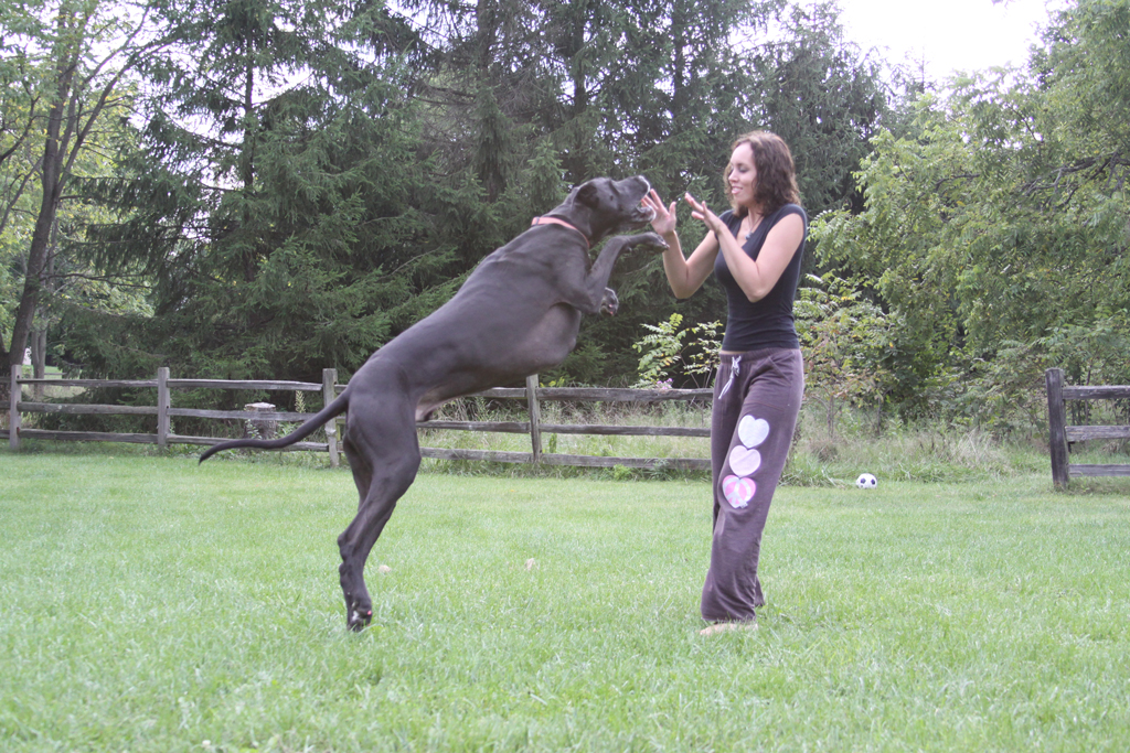 Puppy and Ashley jumping around